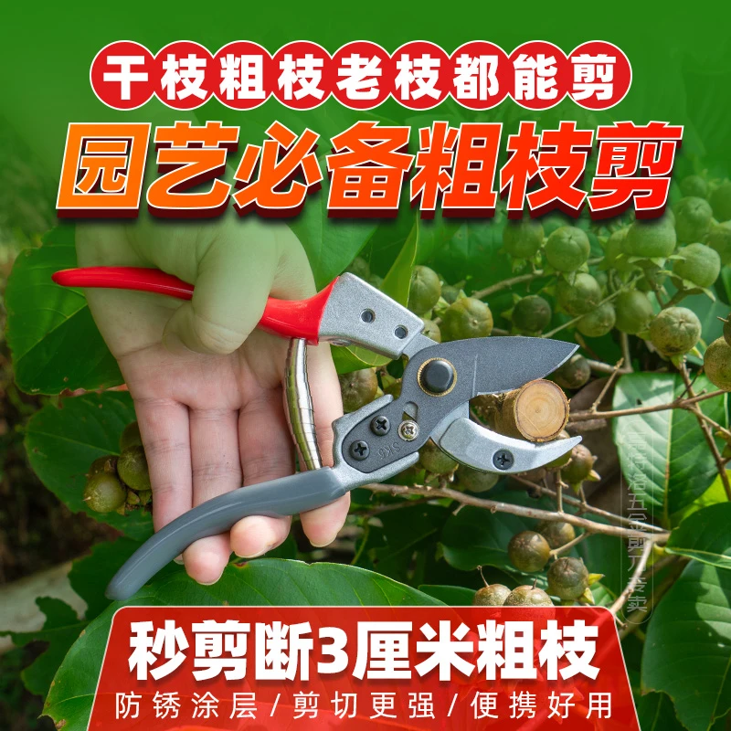 鲨鱼头日本SK5锰钢省力果树修枝剪强力粗枝剪树枝专用大号剪剪刀！