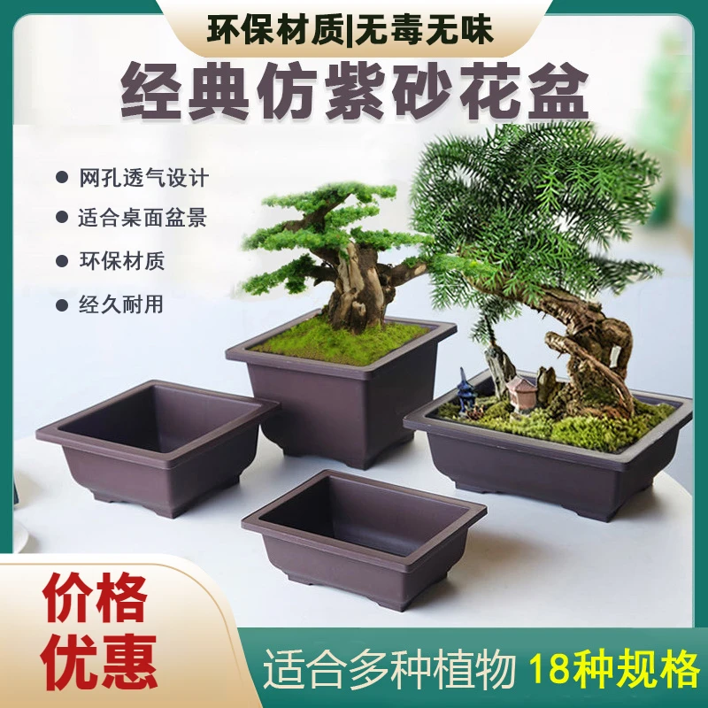 大正方椭圆花盆盆景多肉植物花盆特大椭紫砂盆栽塑料花盆办公室