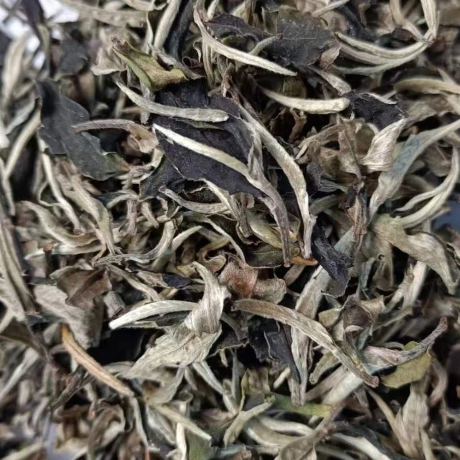 【鸣龙】2024年 老树月光白 白茶  散茶