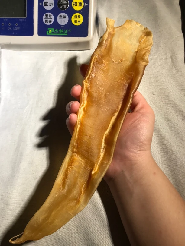 老北海公鱼胶一个约78g