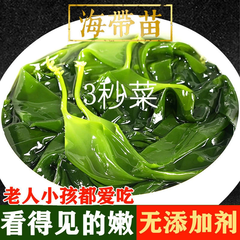 福建霞浦嫩苗盐渍海带嫩苗500g/包独立真空包装新鲜营养火锅必备