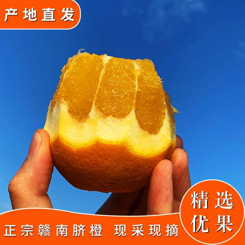 江西赣南脐橙5斤装玲珑果乐享果纽荷尔橙子优质农产品果园现采