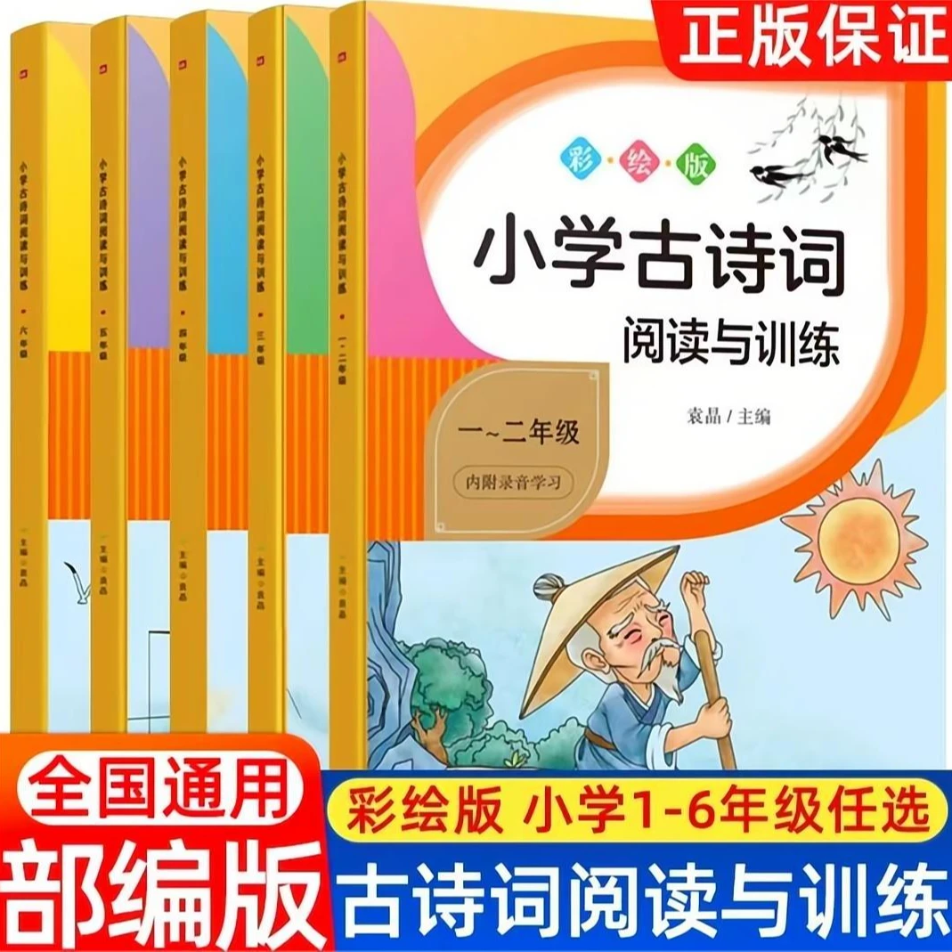 小学古诗词阅读训练1-6年级彩绘通用版小学生字词句【小晨同学】
