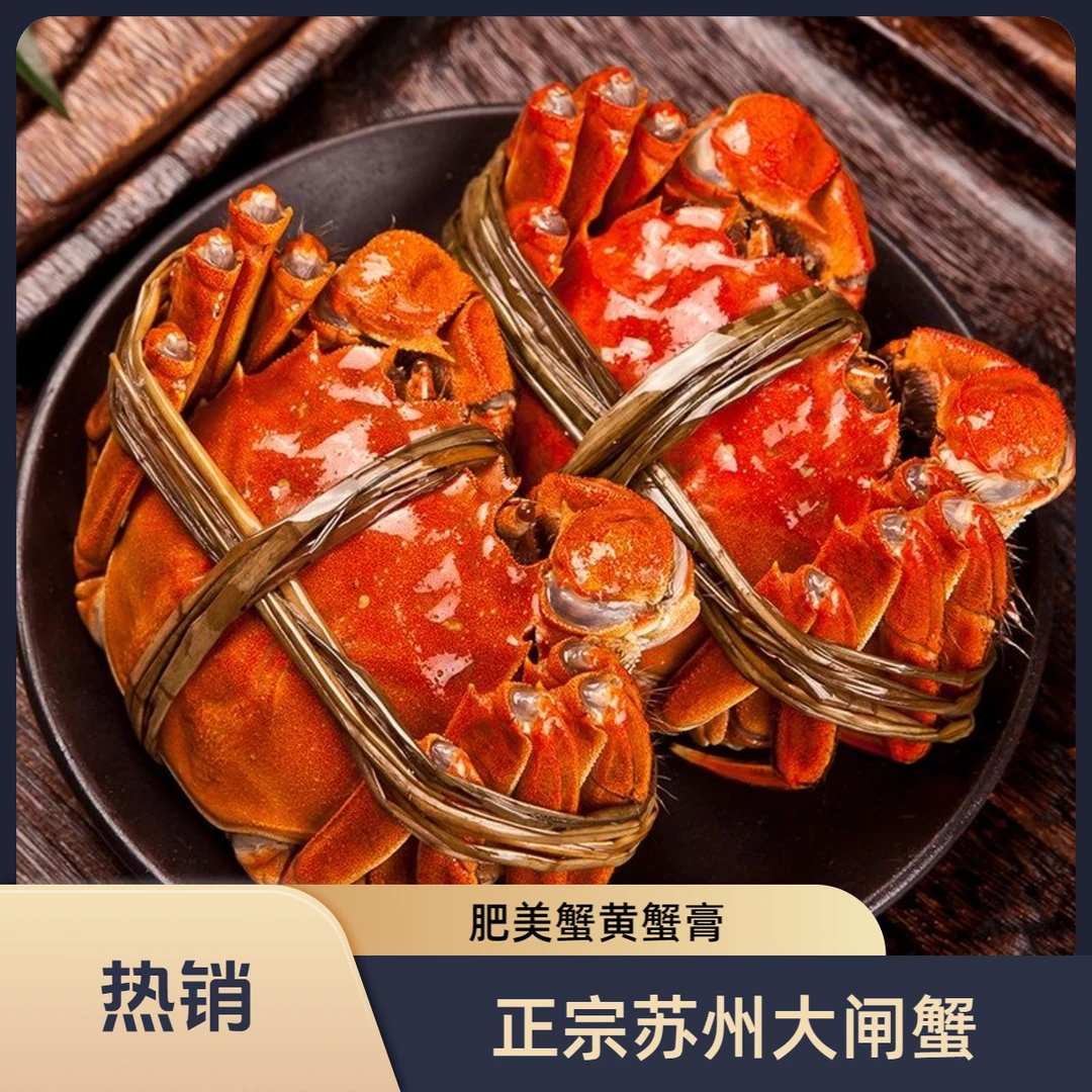 【活蟹】苏州精品大闸蟹母蟹2.1-1.8两8到12只可选鲜活冷链礼盒发货