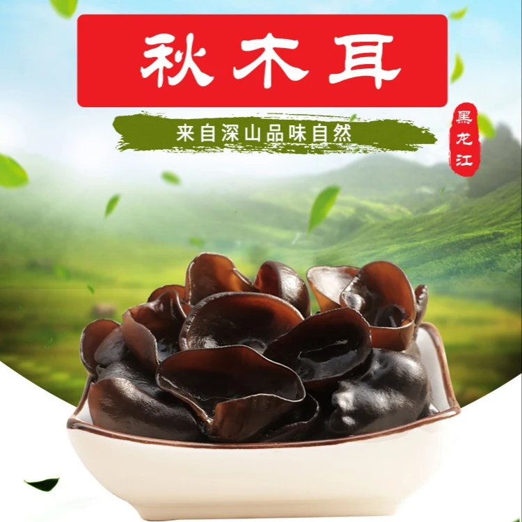 特产秋木耳肉厚无根500克/袋AOS