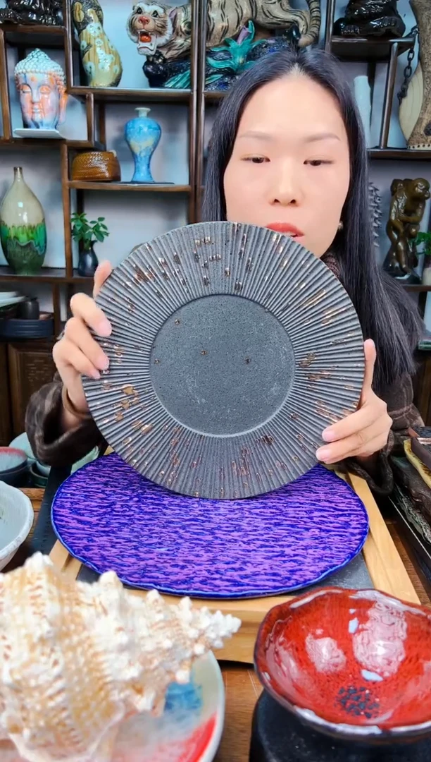 【闪购商品】陶瓷瓷片10