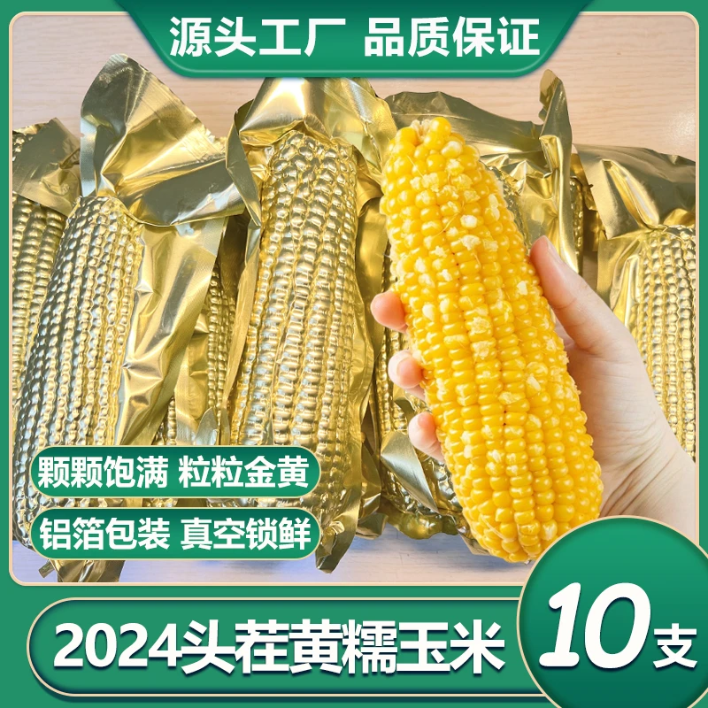 【试吃两支】共10支6斤真空金色铝箔包装软糯香甜早餐东北糯玉米