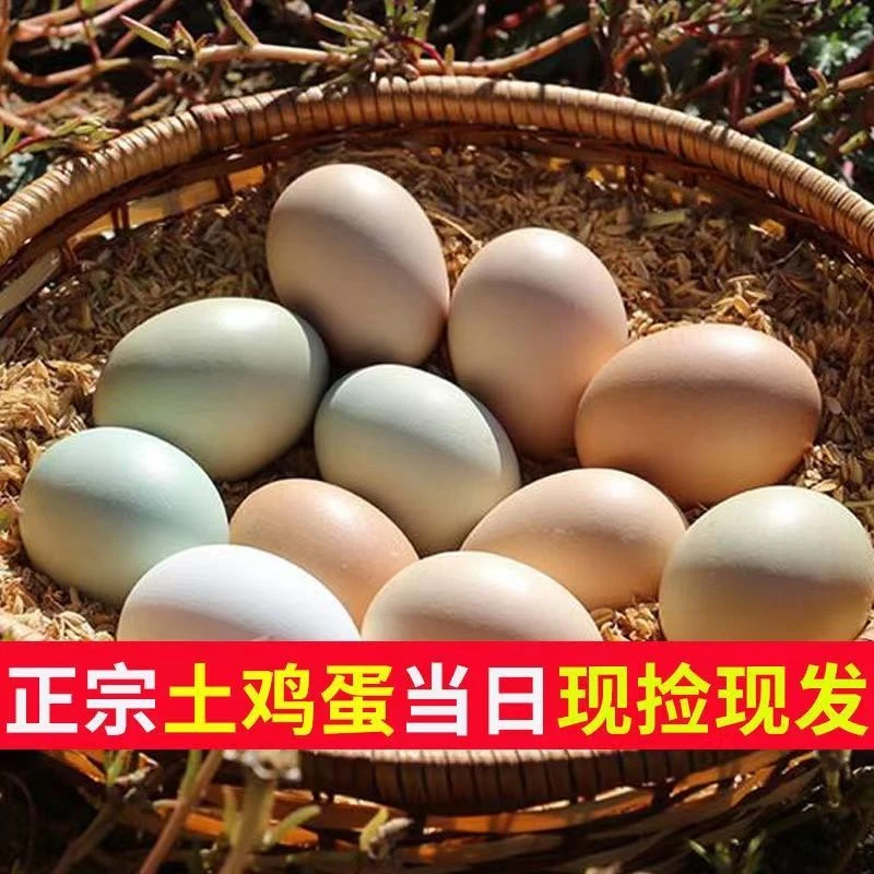 【孕妇儿童土鸡蛋】沂蒙山土鸡蛋乌鸡蛋纯天然土鸡蛋虫草鸡蛋4枚