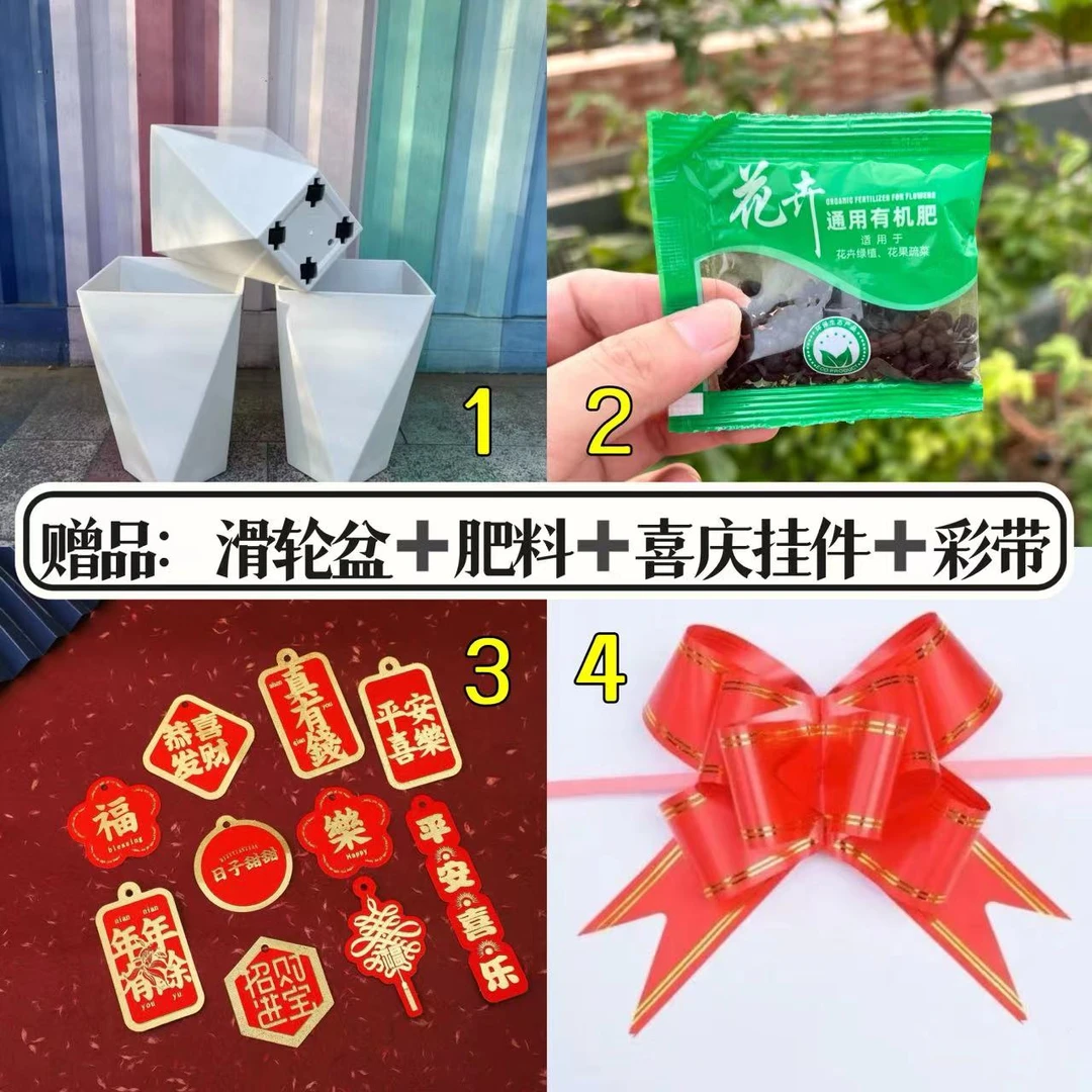 滑轮盆+两种挂件+肥料