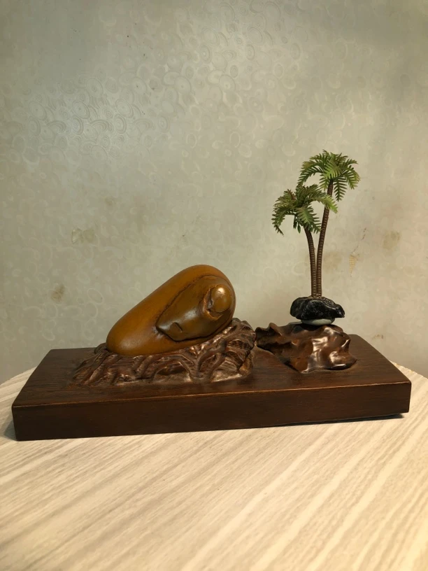 广西天然水冲大化石