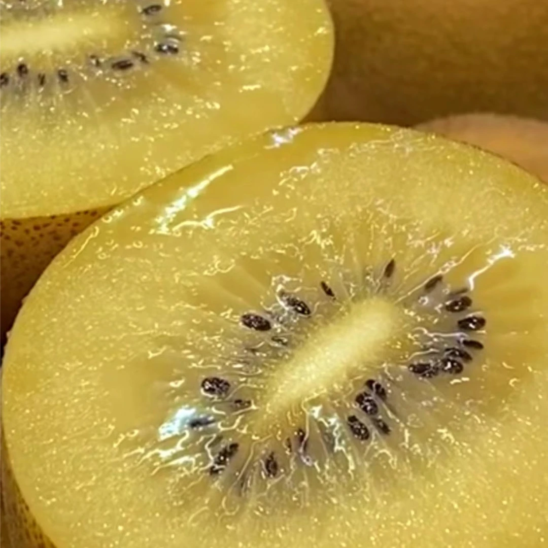 黄金奇异果