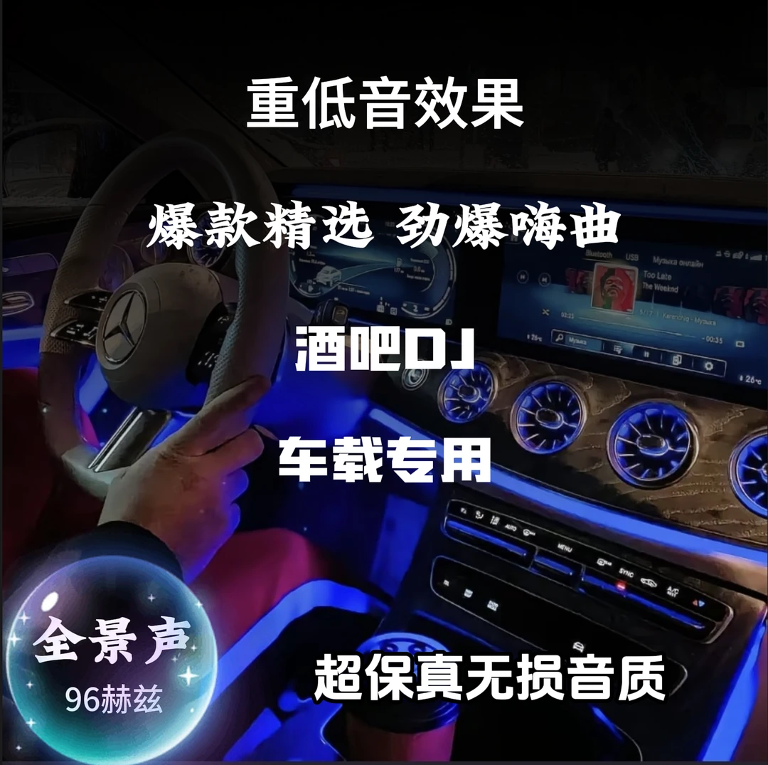 DJ酒吧车载U盘越南鼓电音劲爆嗨曲重低音舞曲歌曲车用夜店歌曲
