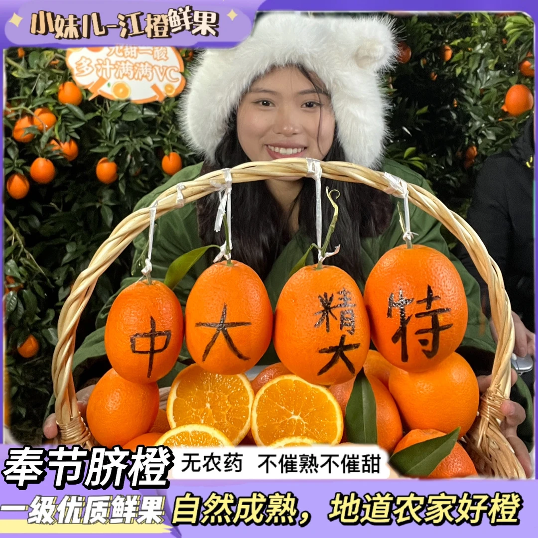 【奉节脐橙】纽荷尔-长江三峡早熟冬橙无籽VC甜橙应季-普快