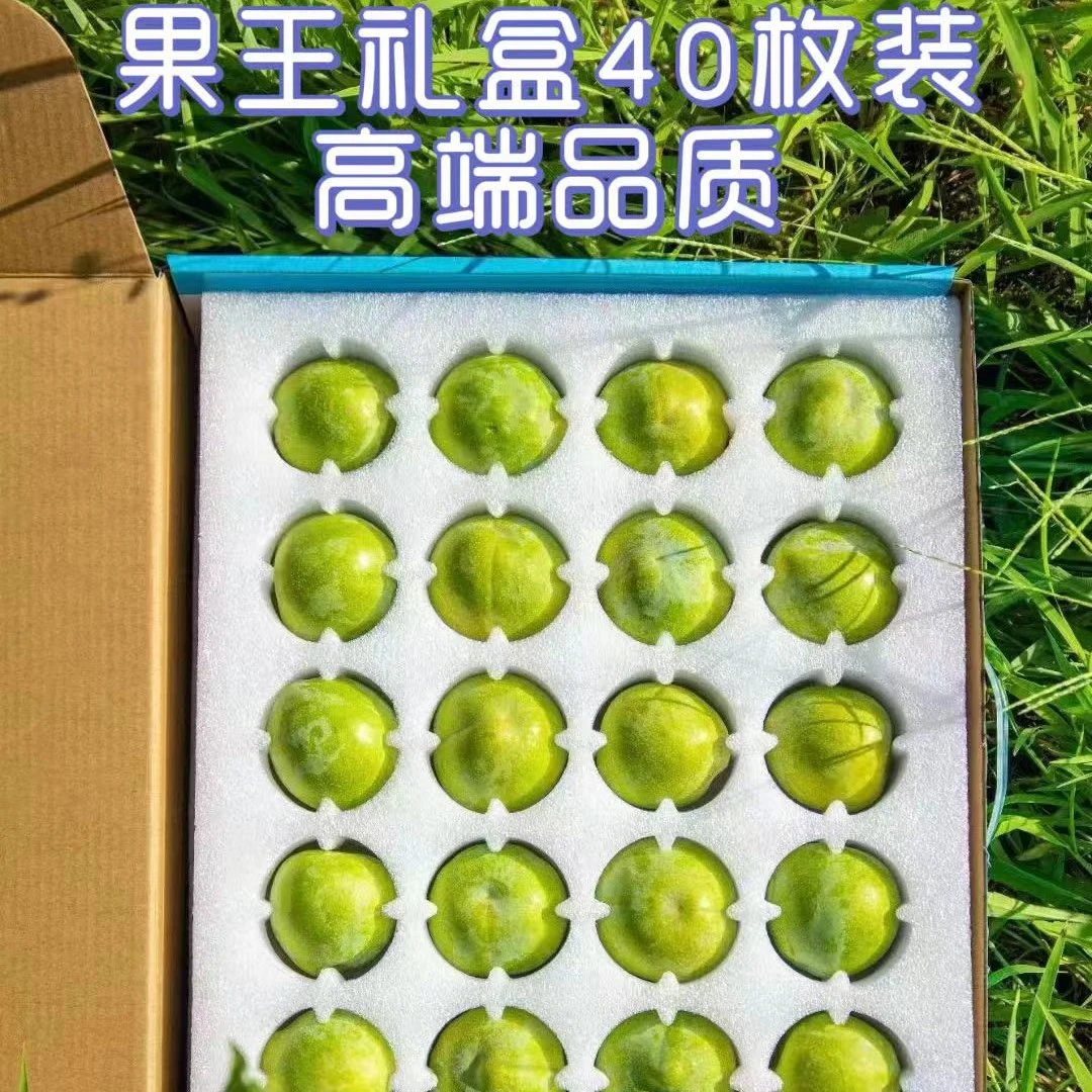 巫山脆李中熟品种-甄选尖货果王礼盒装【顺丰空运】