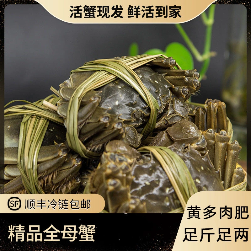 【活蟹现发】苏蟹精品大闸蟹母蟹大闸蟹3.5-3.2两6-8只冷链礼盒发货