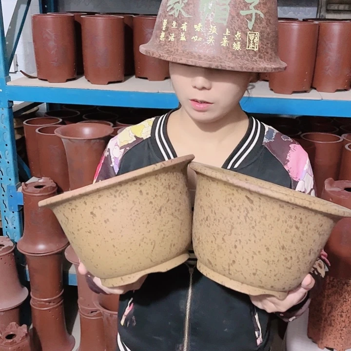 紫砂20CM（含）-50CM（不含）