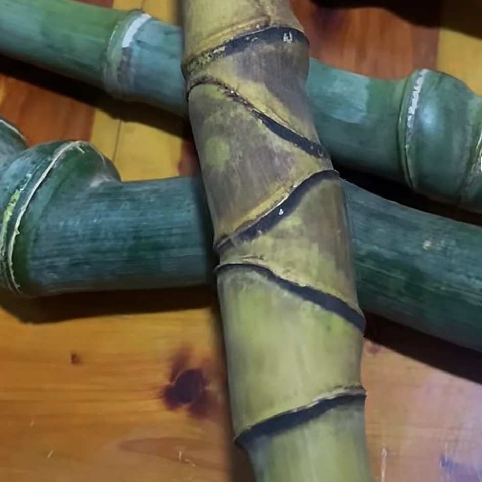 毛料专拍链接  文玩手把件