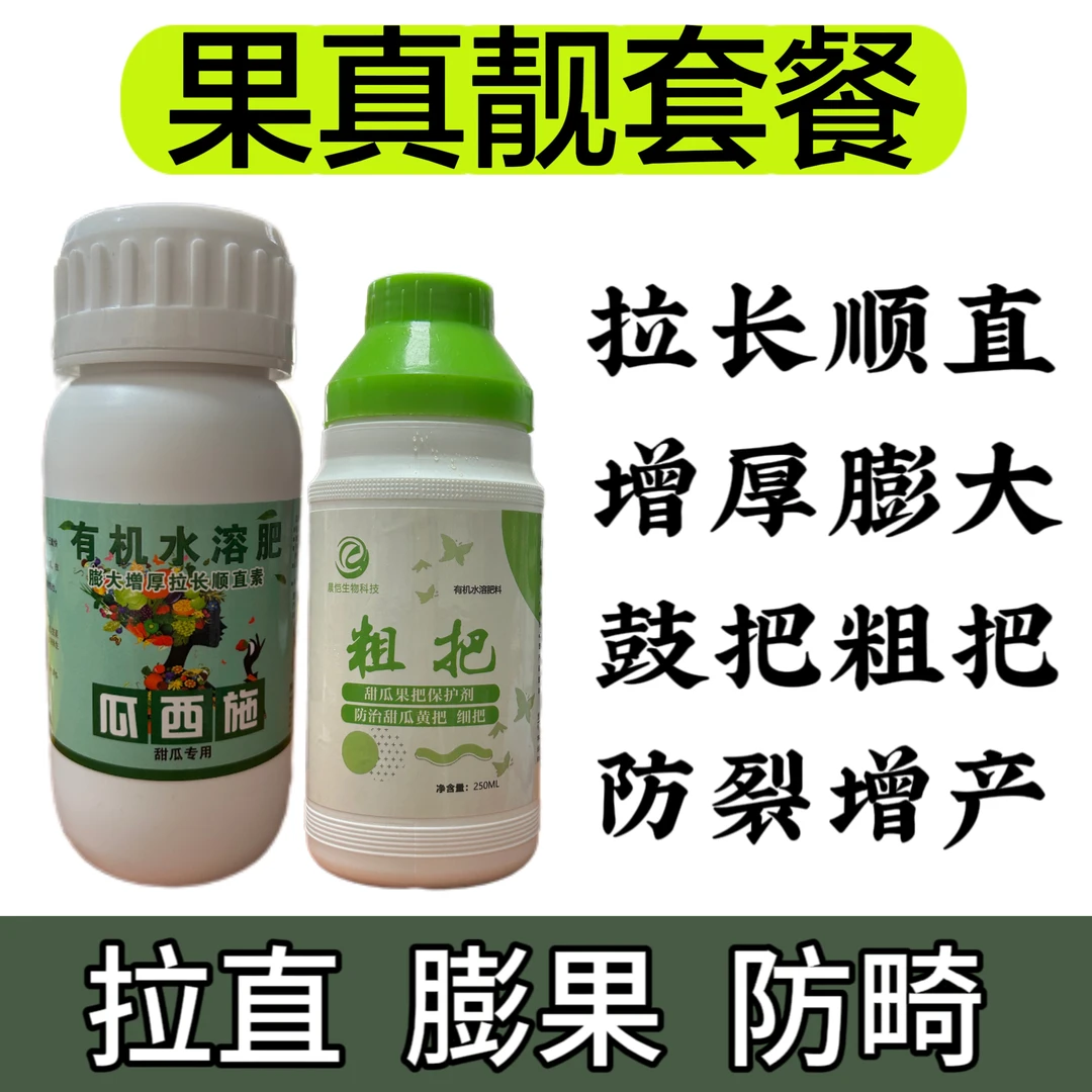 瓜西施➕粗把：拉长顺直肉厚腔小、股把，防果冻瓤