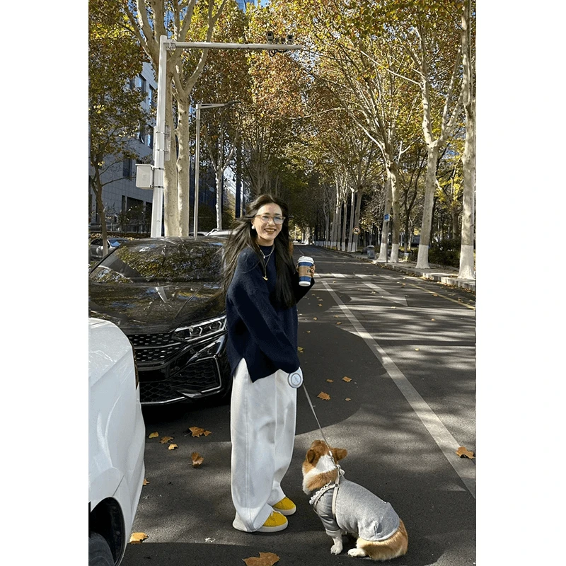 2024秋冬新款高级感蓝色圆领套头针织衫毛衣高腰宽松休闲阔腿裤女