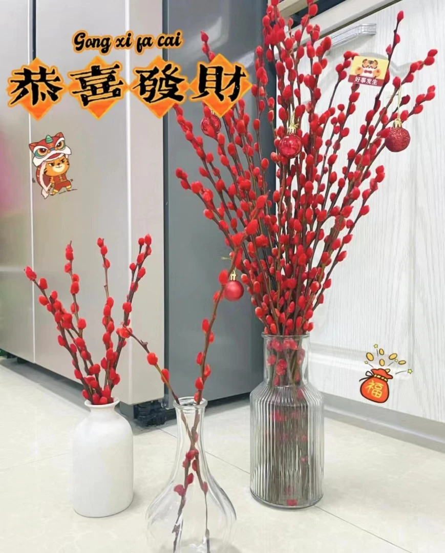 【银柳】年宵花花期超长红红火火吉祥