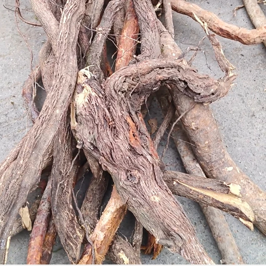 福建野生铁包金老鼠藤干品青藤根煲汤食材青草根