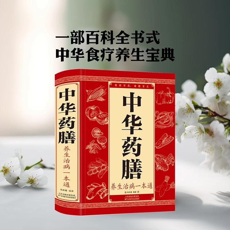 中华药膳养生治病一通 对症调理 中医养生书籍大全 汤膳药膳食谱