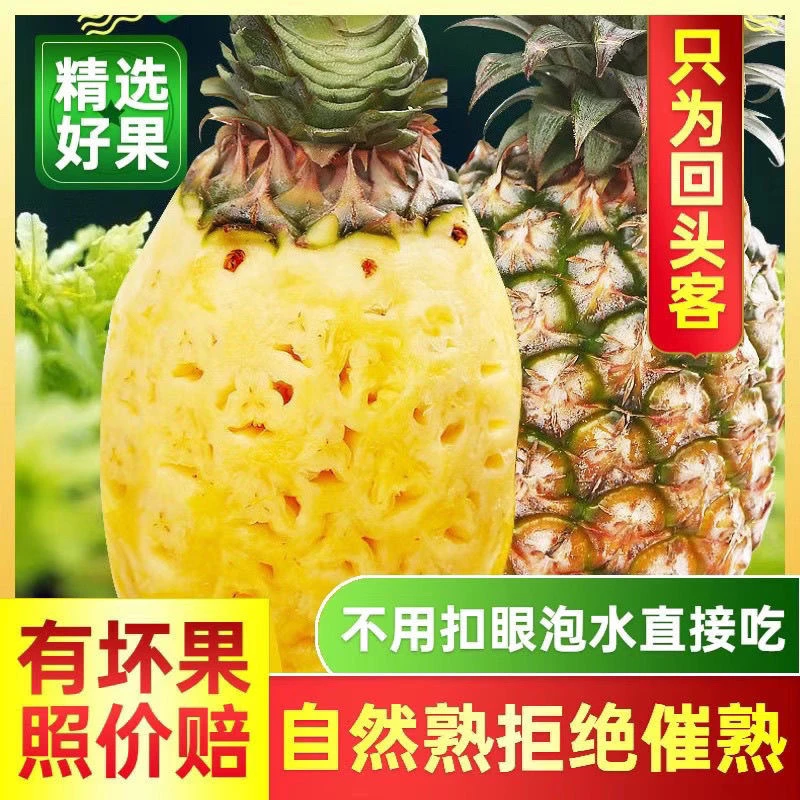 【海南直采】海南凤梨现摘现发香甜多汁当季水果自然熟