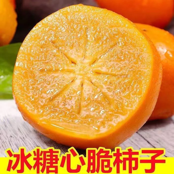 陕西高山巧克力脆甜柿子蜜甜多汁新鲜采摘坏果包赔