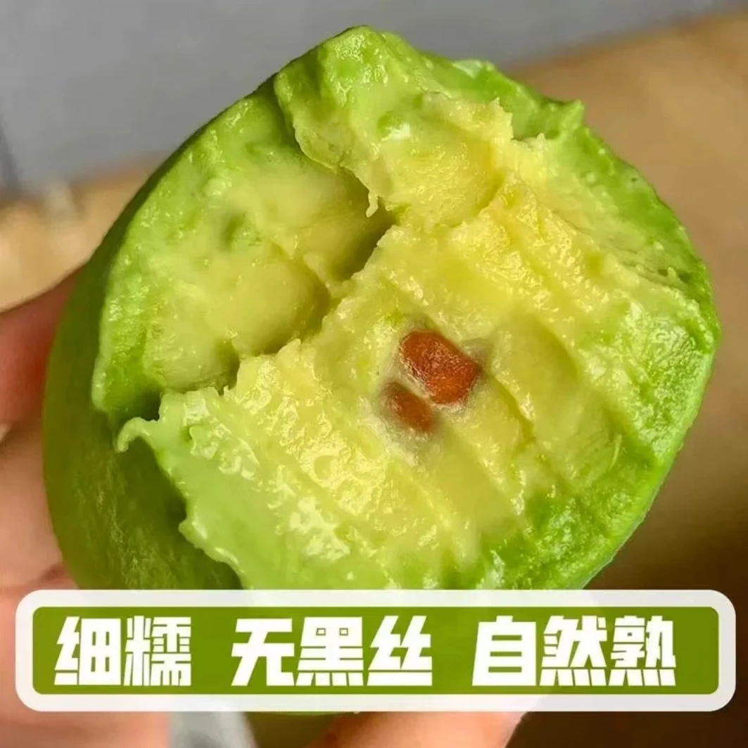 【现摘现发】云南哈斯牛油果孕妇水果宝宝辅食身材管理水果