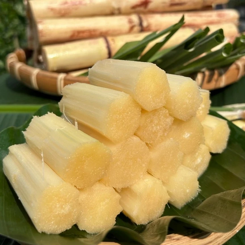 广西正宗白玉甘蔗清甜皮薄爽脆多汁手撕现砍现发种植当季食用产地