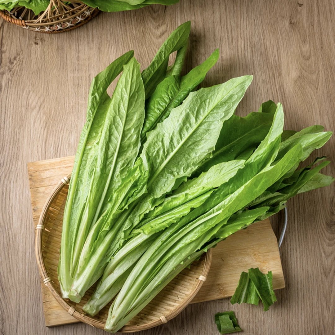 新鲜油麦菜 上等品质 绿色健康 营养美味 约500g