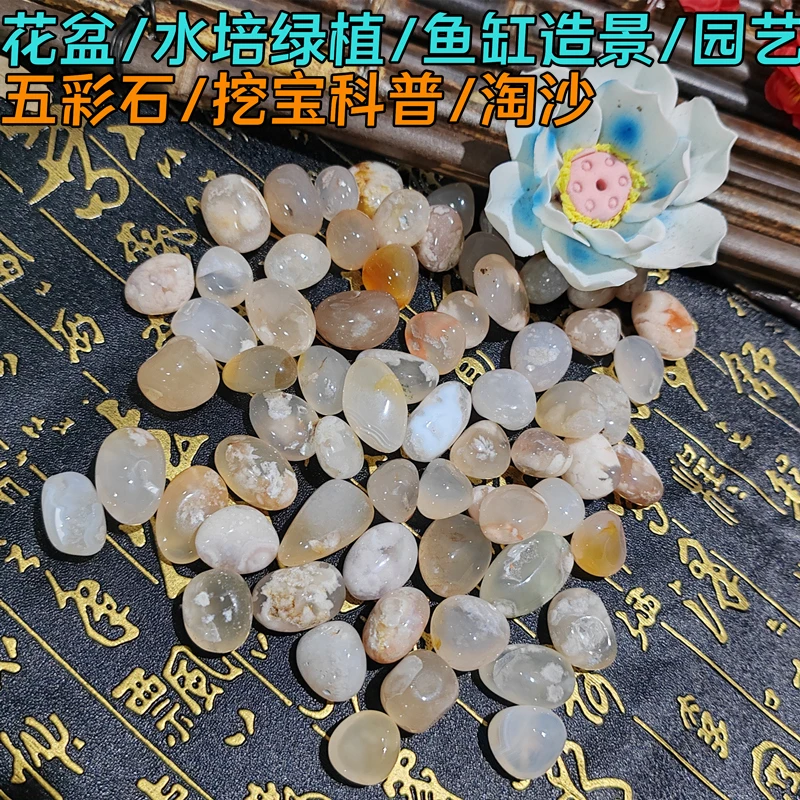 鱼缸石头樱花雨花石挖宝造景郁金香水培花瓶多肉花盆铺面石园林