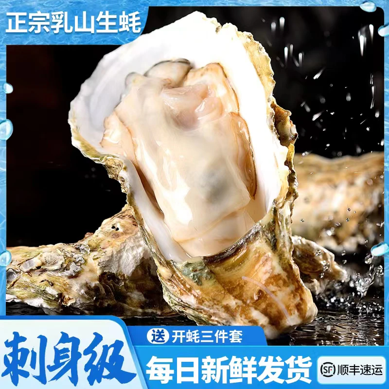 【专属】乳山刺身级大生蚝 包鲜活产地直发生鲜5斤/箱