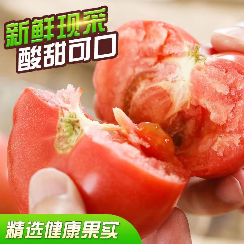 山东头茬沙瓤带籽西红柿自然成熟酸甜可口儿时味道非普罗旺斯