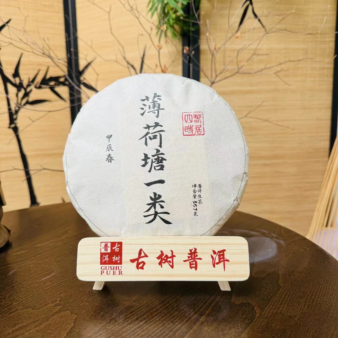 春居四时甲辰春普洱茶2024年【薄荷塘一类】普洱茶生茶357克紧压饼