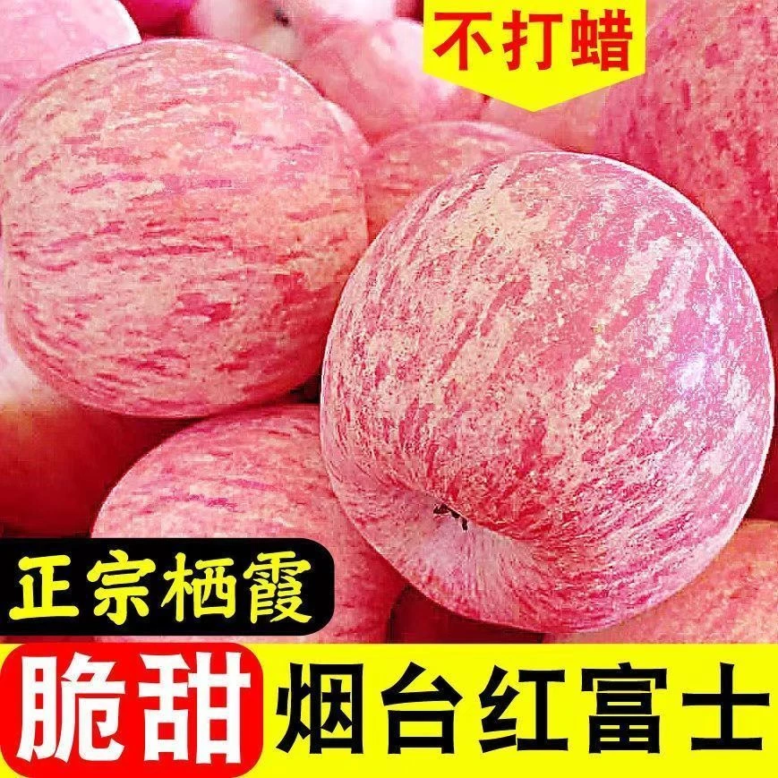 【一人领一箱】正宗山东烟台栖霞红富士苹果应季水果新鲜2/5/10斤