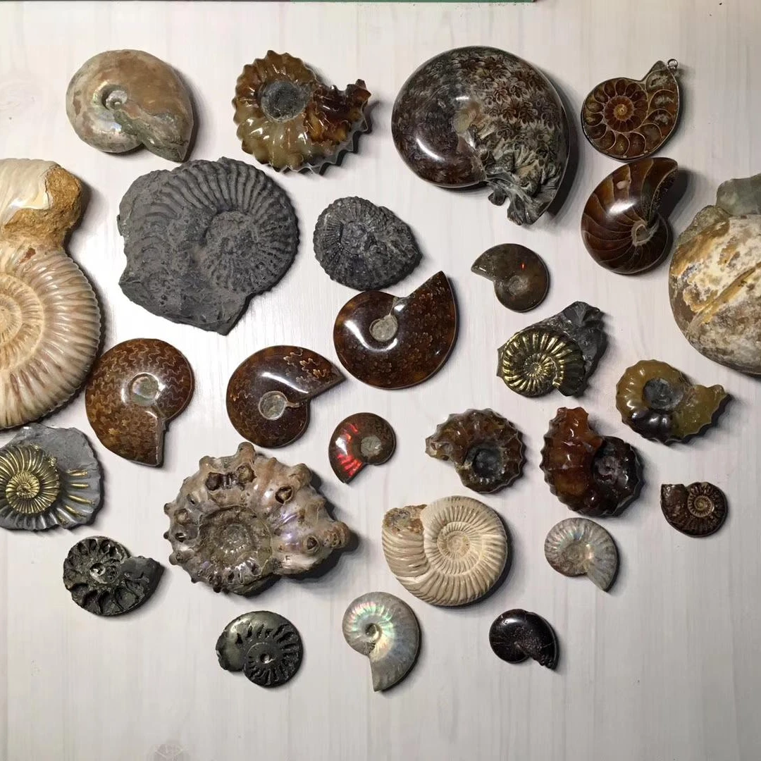 （精）随心选各种各样创意礼物——家居摆件