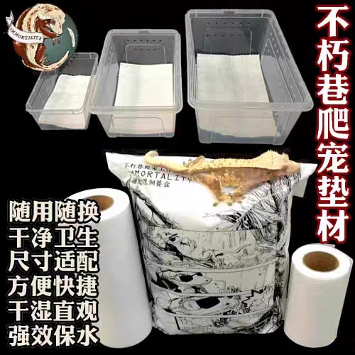 不朽巷睫角豹纹守宫魔物巨人盖勾亚垫材