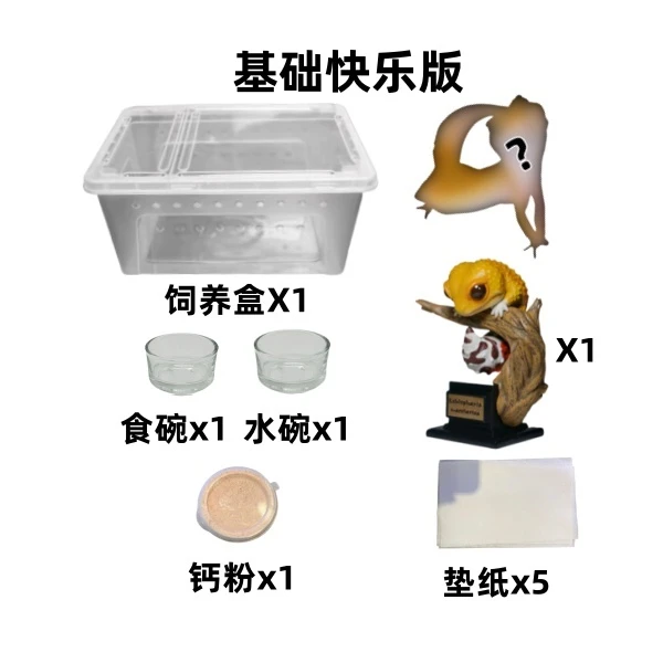 新手守宫饲养套装多种版本可选