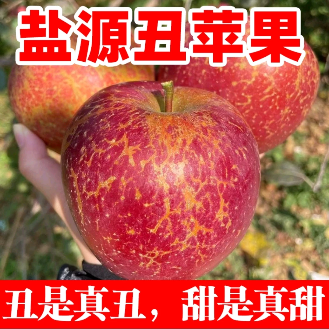【直播推荐】四川大凉山丑苹果脆甜多汁新鲜当季盐源现摘