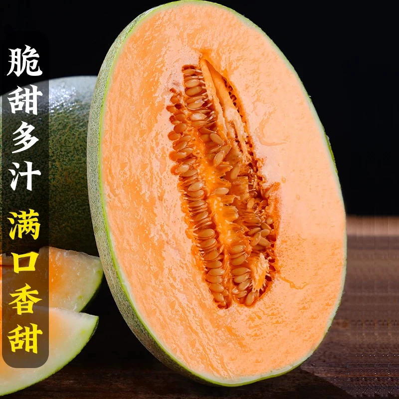 正宗新疆哈密瓜当季新鲜水果一整箱包邮现摘网纹瓜西州蜜瓜肉厚甜