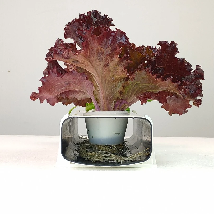 幸运买家家庭阳台种菜学校绿植简约DIY无土栽培设备9050水培管道