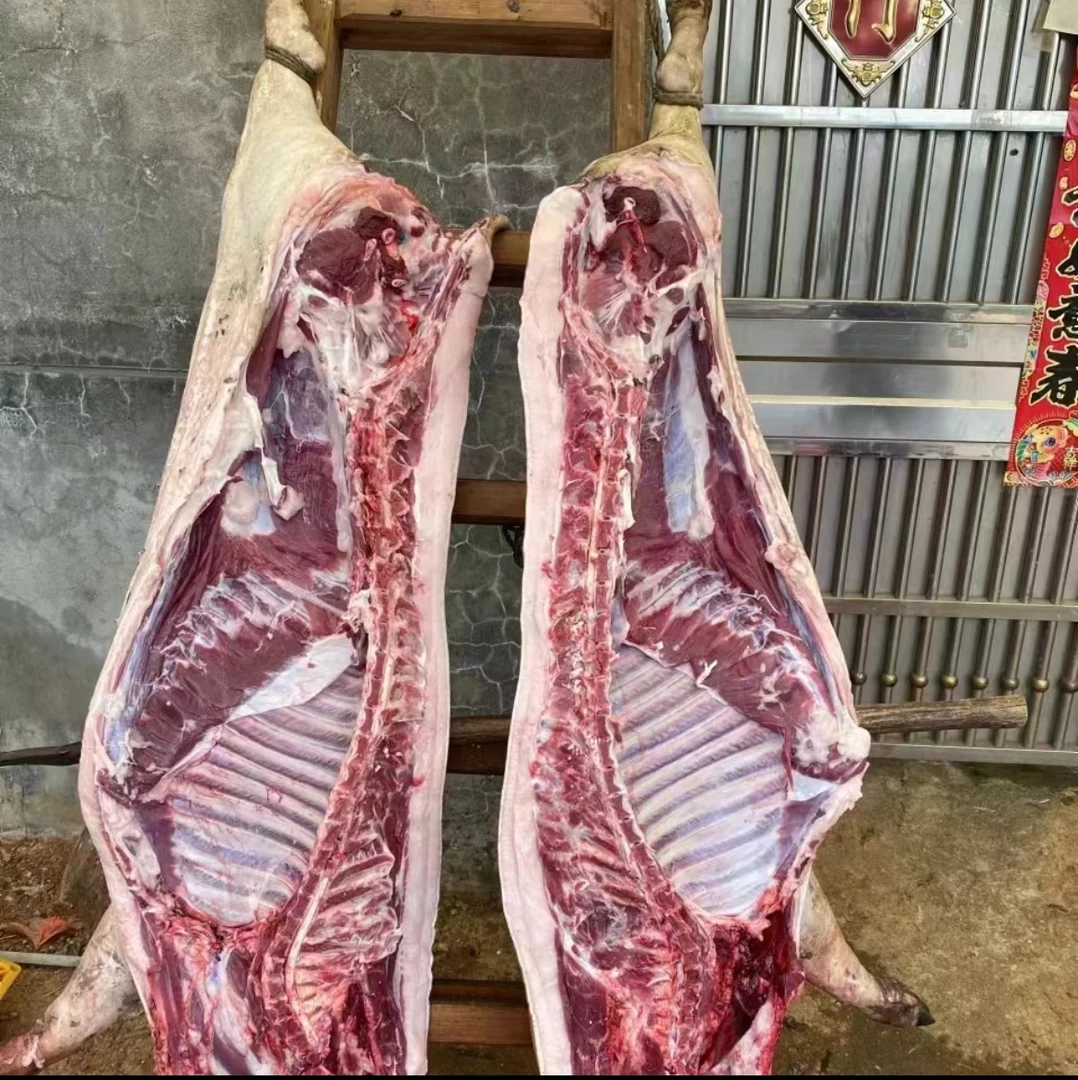 点开链接抢购、现杀550斤笨猪肉东北黑龙江农村
