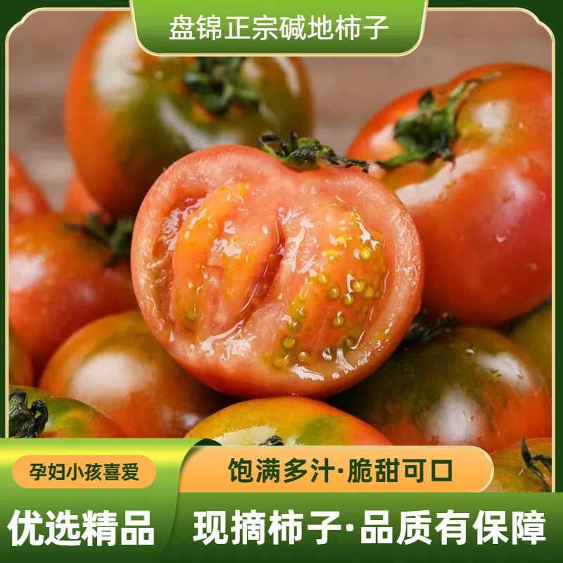 （三斤小果）碱地柿子铁皮柿子草莓柿子京东顺丰包邮，40个左右