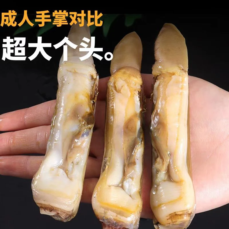 新鲜现剥速冻污泥无沙大个带黄蛏王肉（竹节蛏）一包一斤连云港发货