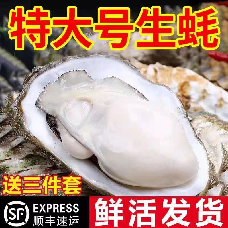 连云港本地新鲜生蚝一斤称3到4只，今日拍下到手5斤，顺丰发货