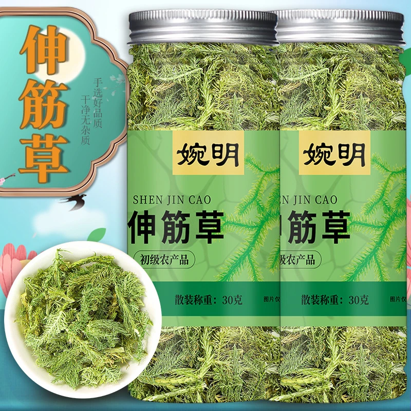 野生伸筋草野生无硫新货中药材正品舒筋草狮子尾品质保证中草药