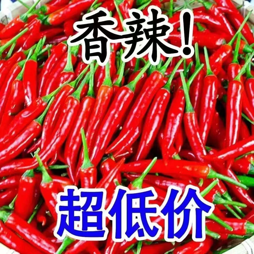 新鲜小米椒特辣小米辣鲜椒朝天椒红辣椒指天椒泡椒红辣椒产地直发