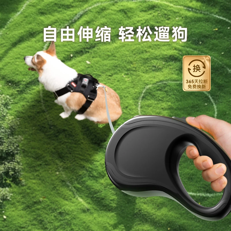 新款狗狗外出纯色百搭自动牵引绳猫咪可伸缩遛猫绳宠物牵引绳4021