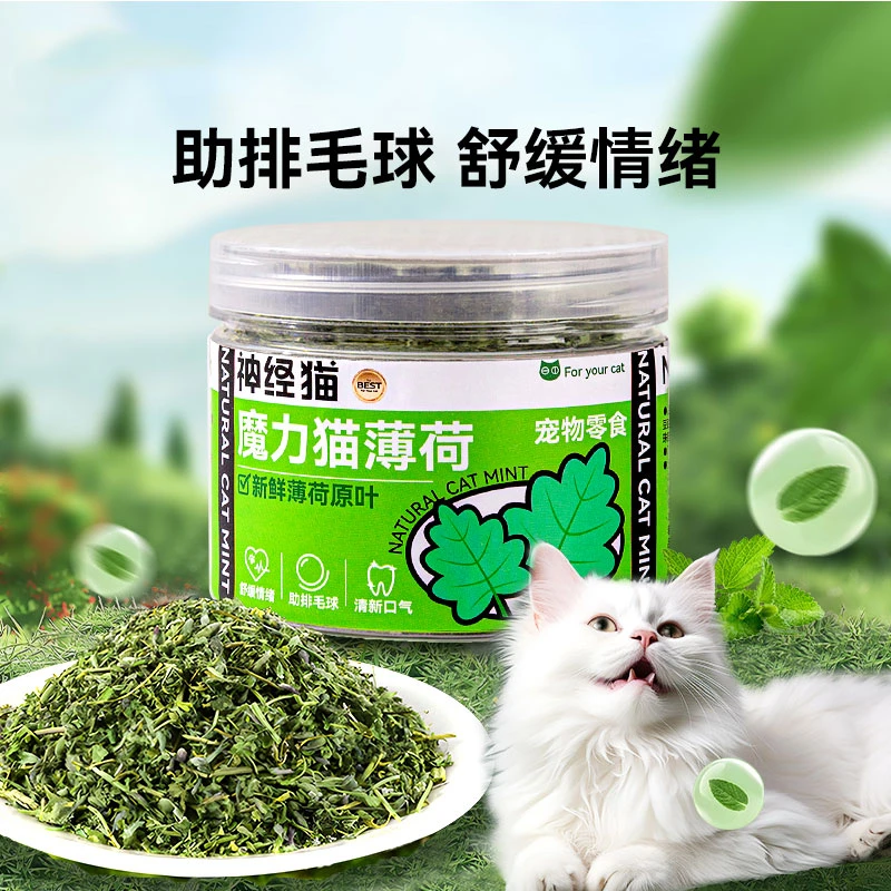 宠物健康猫薄荷零食清洁化毛助排毛球原味薄荷草解闷零食玩具英短